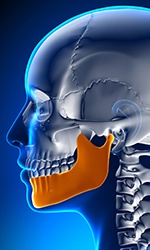 Animation of jaw and skull bone