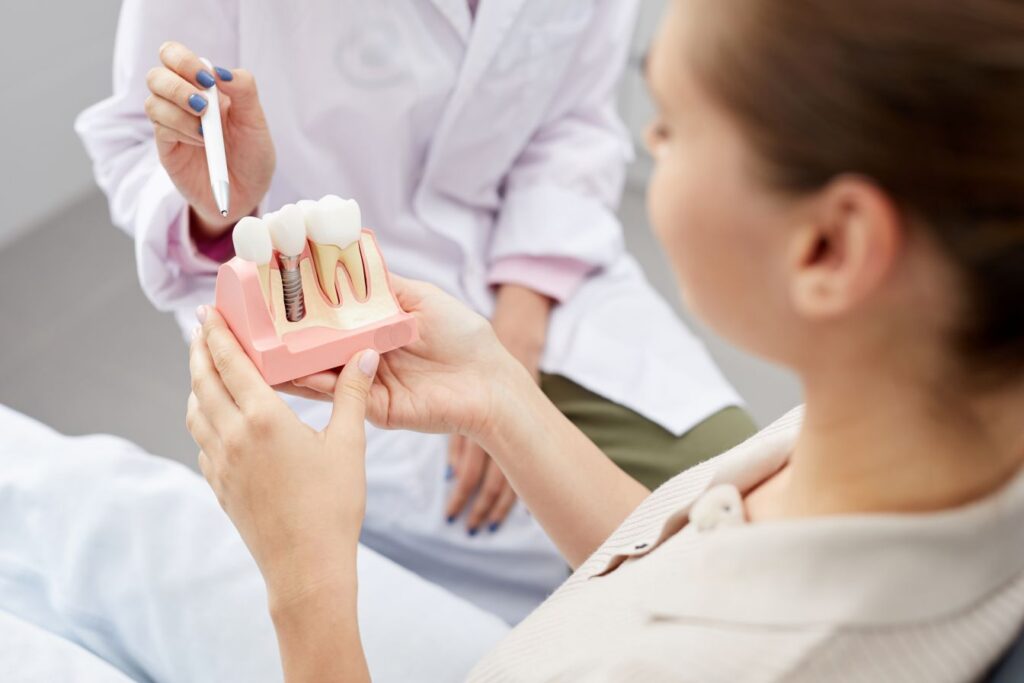 A dentist showing a woman a model of dental implants in a jaw.